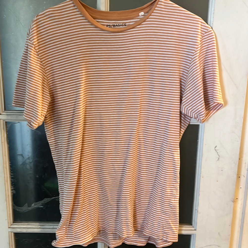 Pacsun basics T-shirt